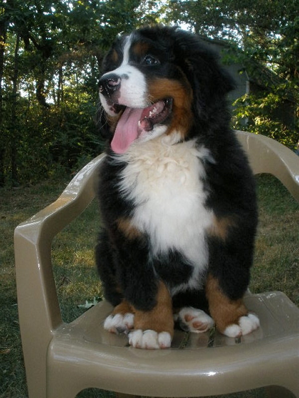 Knox 11 weeks